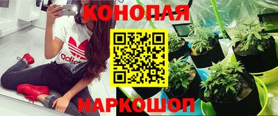 гашиш Тулун