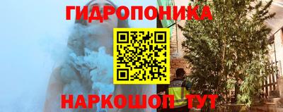 амф Тверь